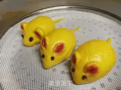 Make Squirrel step 13