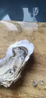 Make Garlic step 1