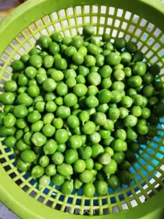 Make Puffy snow soybean step 4