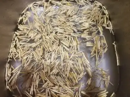 Make Subsea coconut cane step 3