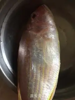 Make Red fish step 0