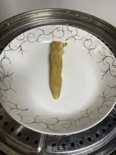 Make Plumbing snail soup step 0