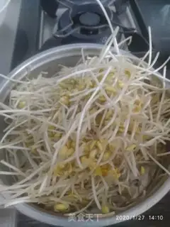 Make Bean sprouts step 0