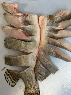 Make Peacock open-screen fish step 0