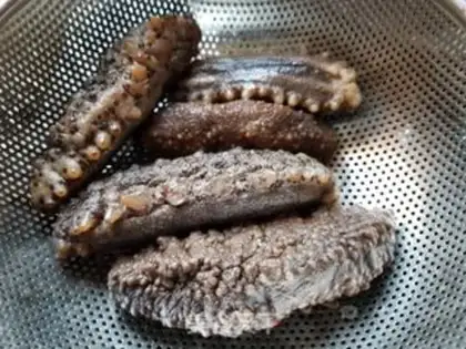Make ♪ ♪ Flows and mushrooms ♪ step 0