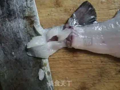 Make Squirrels step 6