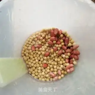 Make The original soybean step 0