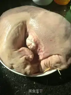 Make Phoenix has a rooster step 3