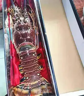 Make Fresh lobster step 0
