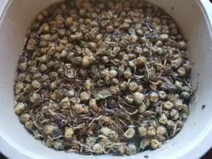 Make Chicken-bones-breed tea step 0