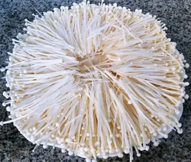 Make Fans steamed with golden needles and mushrooms step 4