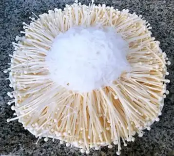 Make Fans steamed with golden needles and mushrooms step 5