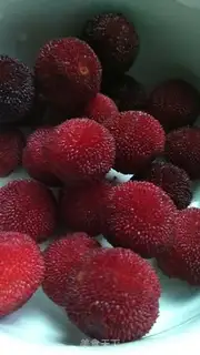 Make Yellow sugar vasectomy step 2