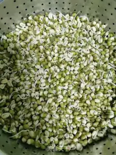 Make Green bean sprouts step 2