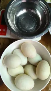 Make Salted protein step 0