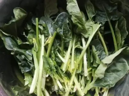 Make Spinach pellets step 0
