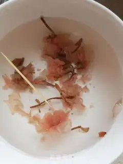 Make Sakura Little Rabbit step 1