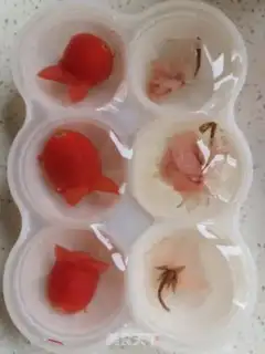 Make Sakura Little Rabbit step 14