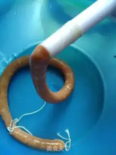 Make Homemade larvae step 13