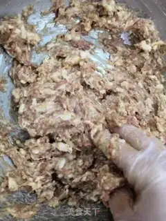 Make The dumplings step 0
