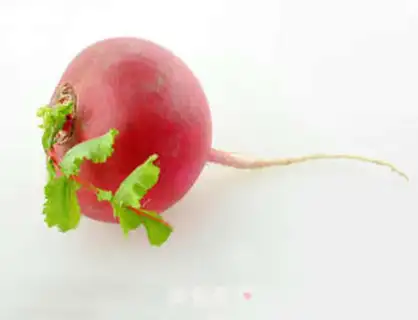Make Homemade rose soup step 0