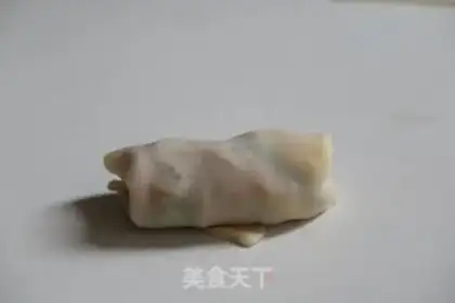 Make Spring rolls step 10
