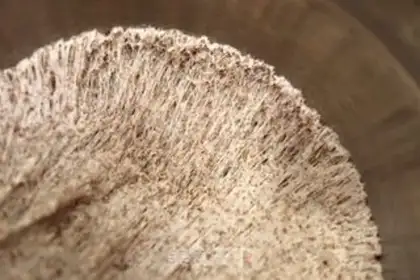 Make Black whole wheat rat buns step 4