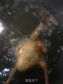 Make Cricket pigeon step 9