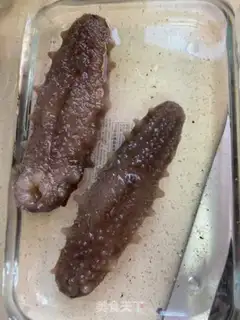 Make Gold Tom sea cucumber step 2