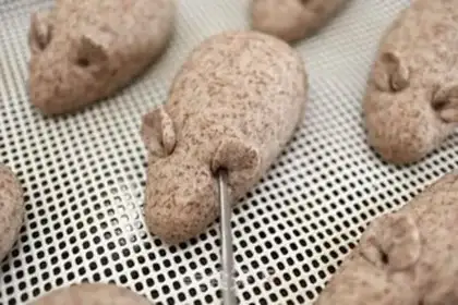 Make Black whole wheat rat buns step 8