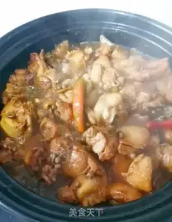 Make Chicken step 15
