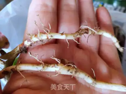 Make Frozen fish and grass step 0