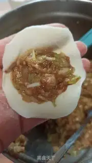 Make Pork dumplings step 9