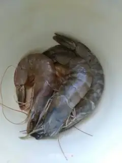 Make Shrimp mushroom soup step 2