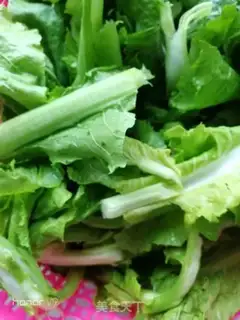 Make ♪ Meat and cabbage ♪ step 2