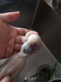 Make The octopus step 2