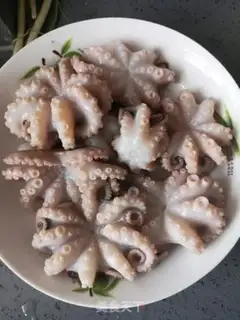Make The octopus step 8