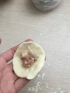 Make Meat pie step 2