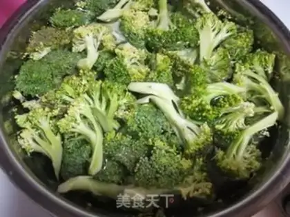Make Squirt the broccoli step 0