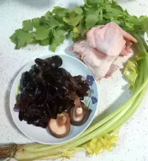 Make Wood and chicken step 0