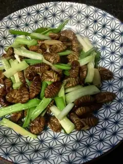 Make Onion silk step 9