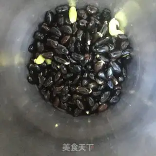 Make Black bean soy step 2