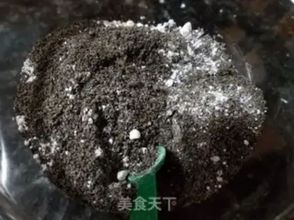 Make Sesame and chocolate step 0