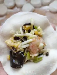 Make Shrimp dumplings step 10
