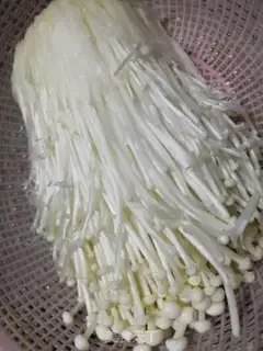 Make Fries of golden mushrooms step 0