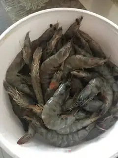 Make Shrimp step 1