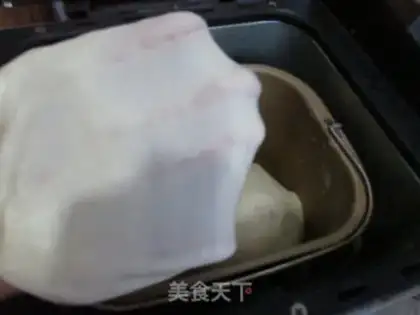 Make Pure yogurt step 4