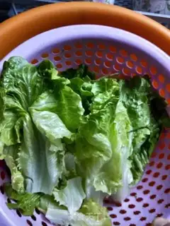 Make Homemade hamburgers step 1