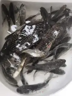 Make Fried catfish step 0