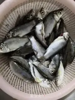 Make Fried catfish step 1